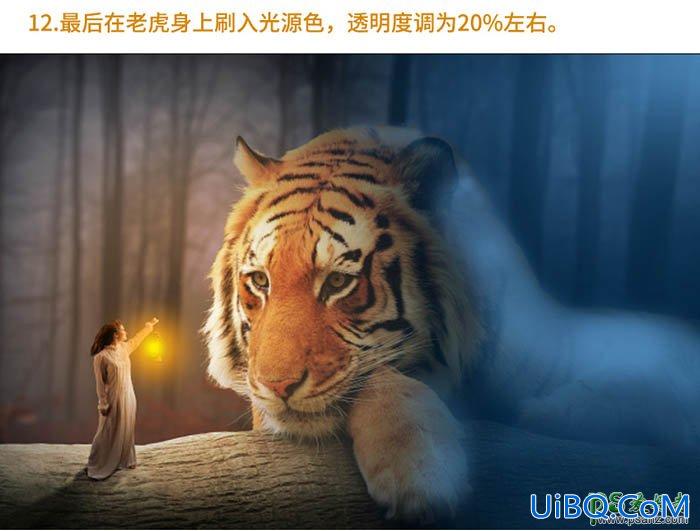 PS创意合成夜色森林中唯美女孩儿与巨型老虎互动的场景