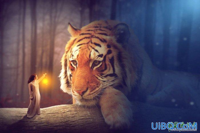 PS创意合成夜色森林中唯美女孩儿与巨型老虎互动的场景