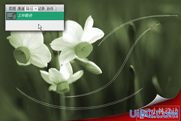 PS花卉照片处理教程:为花卉添加光线