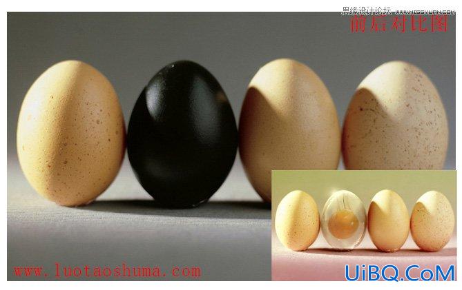 ps合成透明效果的熟鸡蛋教程