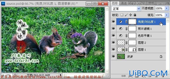 ps多张松鼠图片合并成一张实例