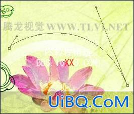 PS插页设计:设计制作宣传单