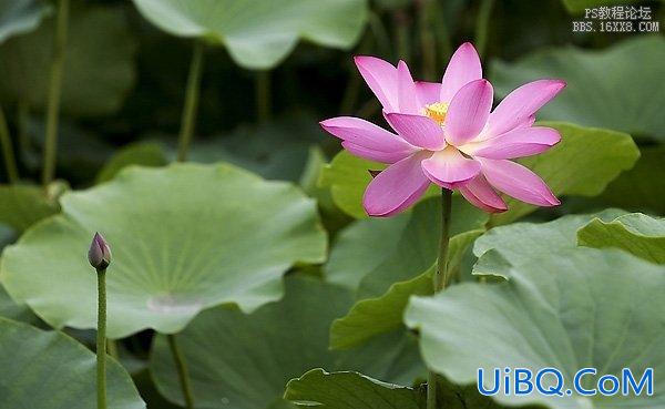 ps湖景婚片处理教程