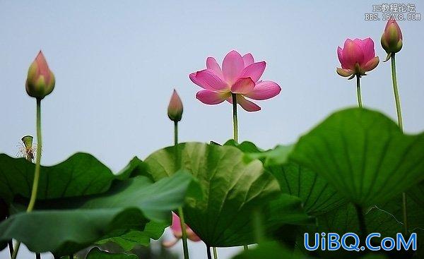 ps湖景婚片处理教程