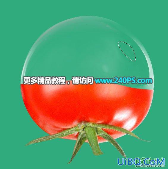 PS创意合成液体玻璃效果的西红柿，液体的玻璃西红柿。