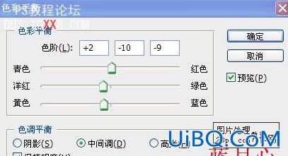 PS把绿色的花朵调成漂亮的紫色调