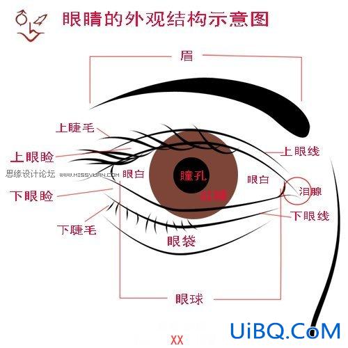 PS中眼睛眉毛睫毛嘴唇等画法详解