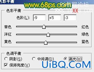 PS打造鲜丽的橙黄色郁金香图片