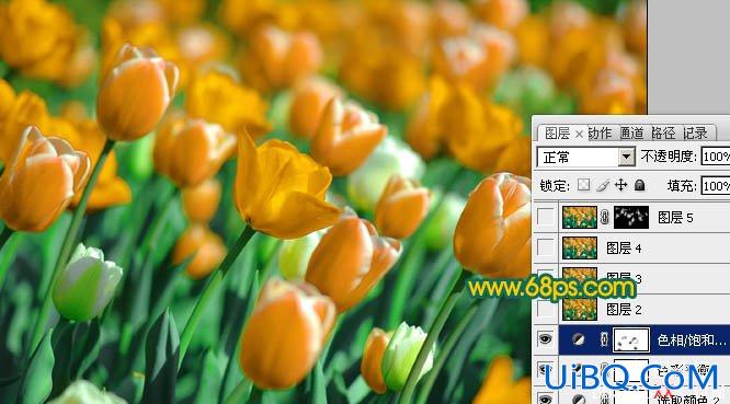 PS打造鲜丽的橙黄色郁金香图片