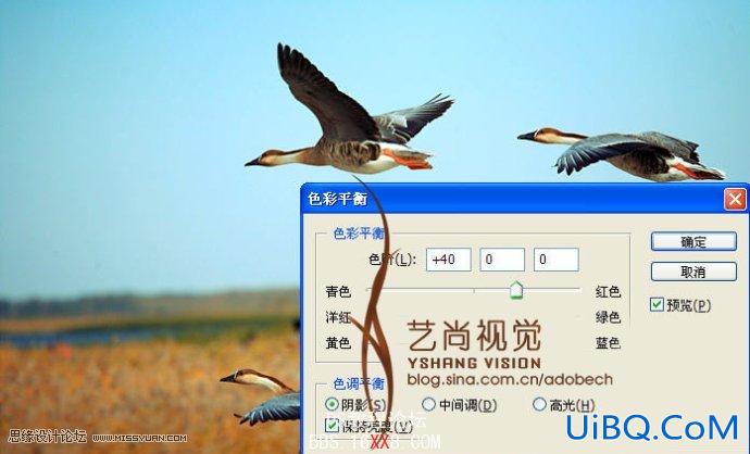 PS调出高层次高对比之雁