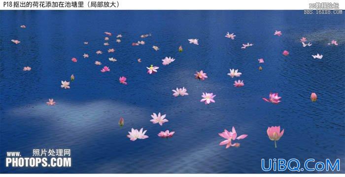 利用ps合成技术修图教程