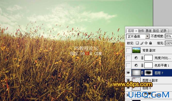 PS调出小草图片淡雅的黄绿色