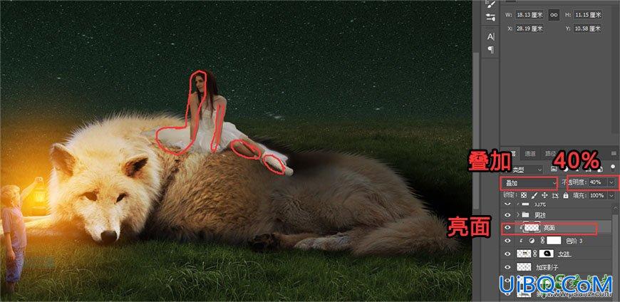 PS创意合成草原上美女与狼和平共处的场景，美女和白狼