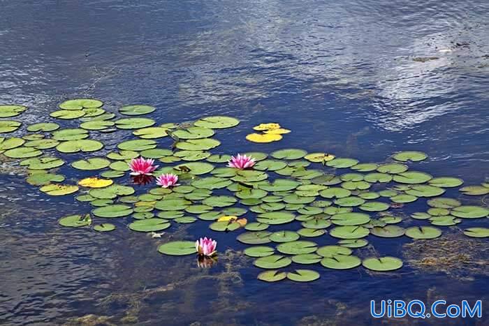 PS创意合成水上嬉戏的小男孩场景，画面非常温馨有意境。