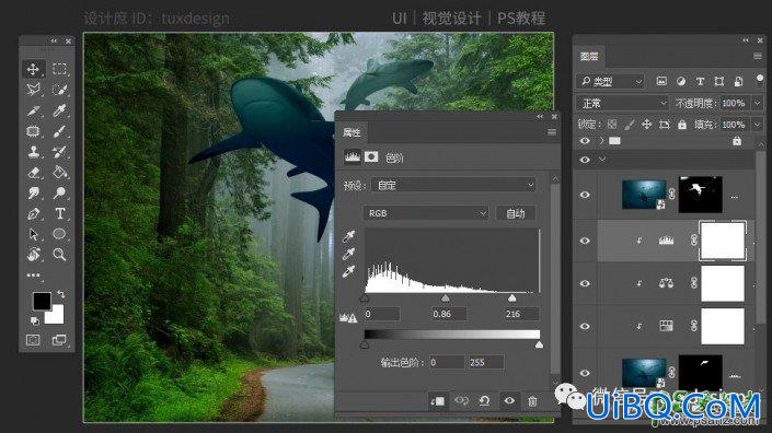 PS梦幻合成在森林中嬉戏的鲸鱼场景，让鱼嬉戏在森林间。