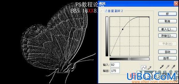 PS教程:制作蝴蝶化石