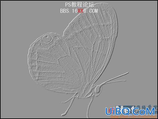 PS教程:制作蝴蝶化石