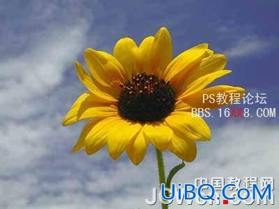PS制作印象派水彩画效果