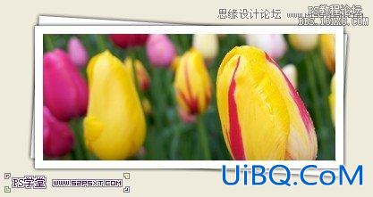 ps一个木纹风格网页模板