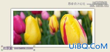 ps一个木纹风格网页模板