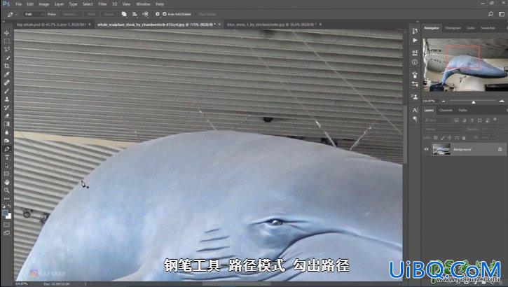 PS创意合成一个小女孩儿在天空的阶梯上遇见飞翔的鲸鱼场