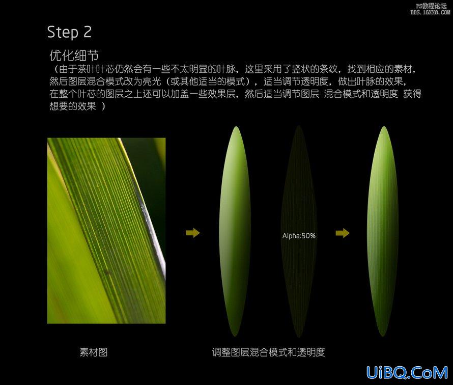 ps制作烟雾缭绕的茶叶的教程