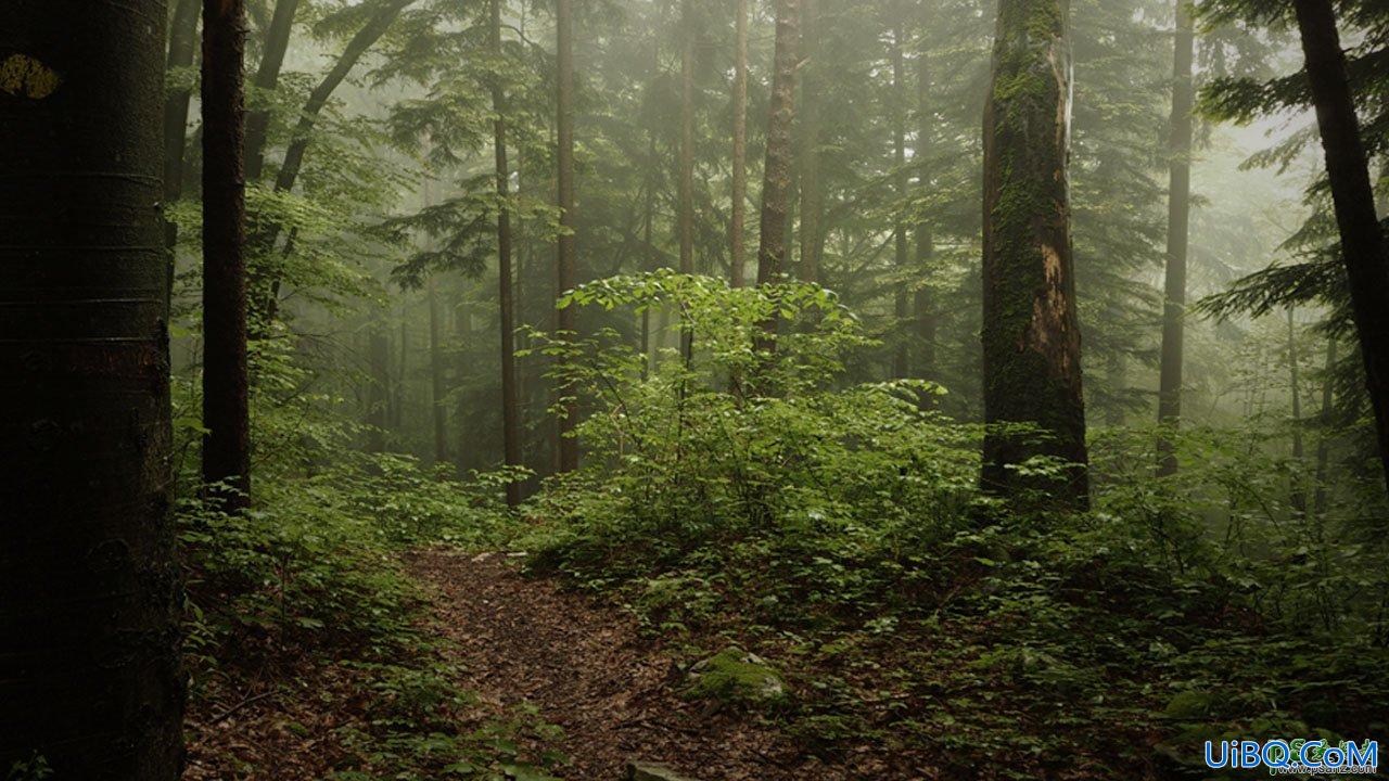 PS合成教程：创意打造森林秘境中在书本上睡觉的男孩场景