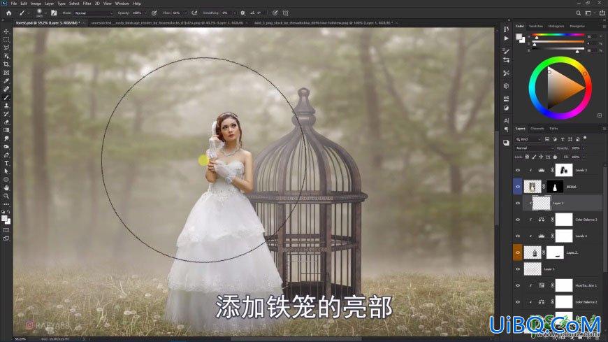 PS创意合成森系婚纱照美女与巨型鸟笼在森林中的秘境场景