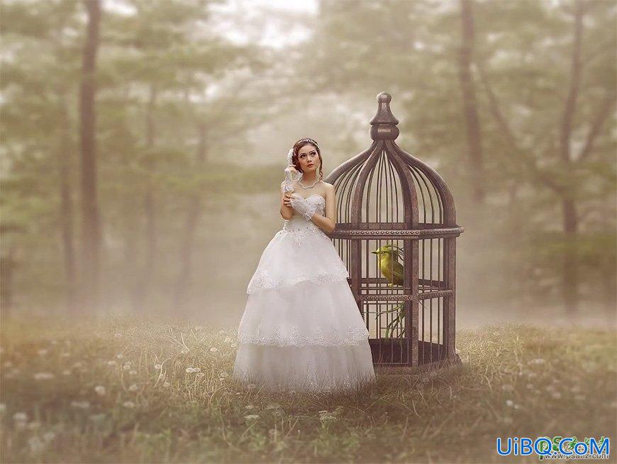 PS创意合成森系婚纱照美女与巨型鸟笼在森林中的秘境场景