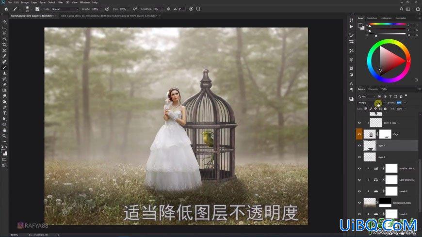 PS创意合成森系婚纱照美女与巨型鸟笼在森林中的秘境场景