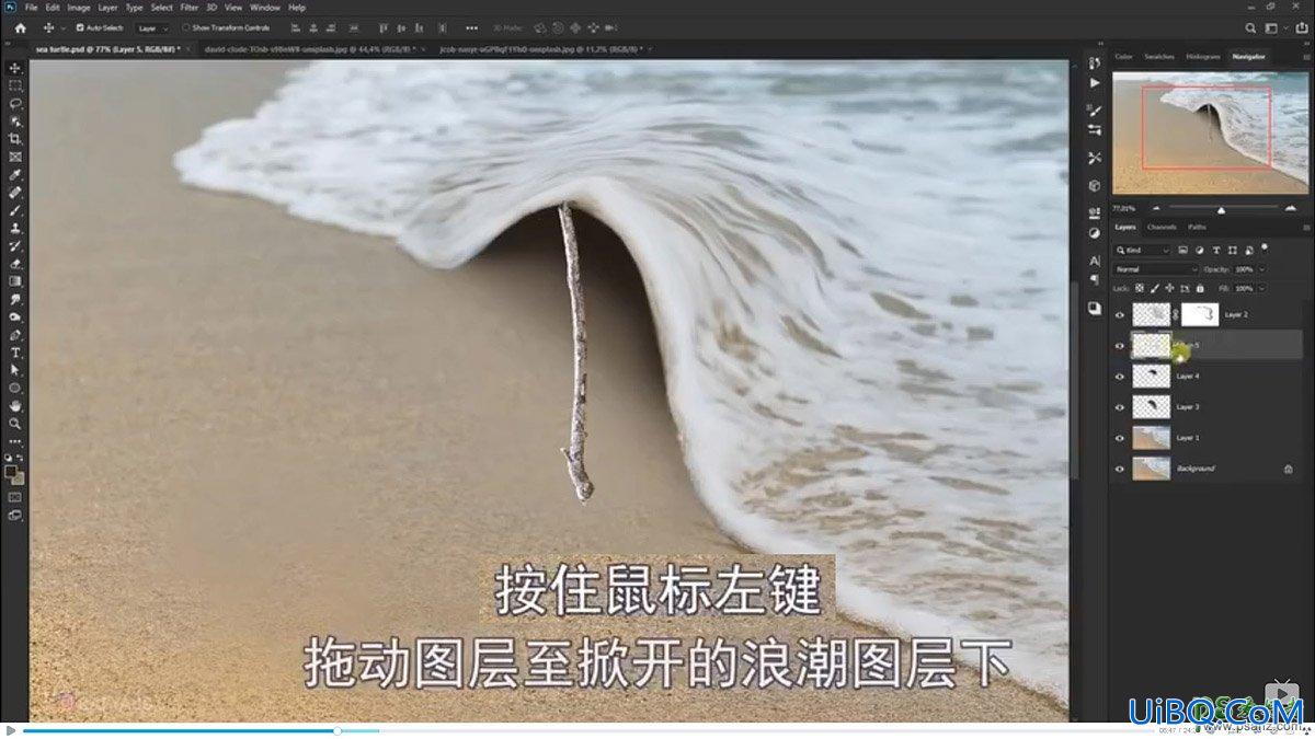 PS创意合成小海龟走进掀开被子效果的海浪中，回家的海龟