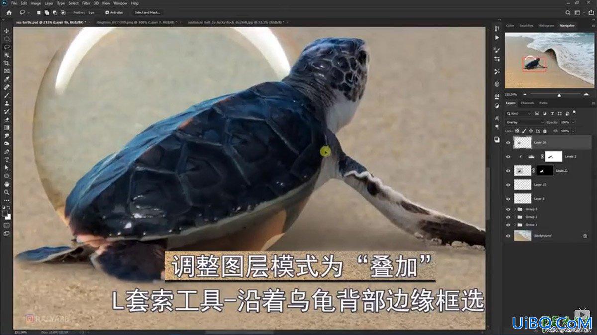PS创意合成小海龟走进掀开被子效果的海浪中，回家的海龟