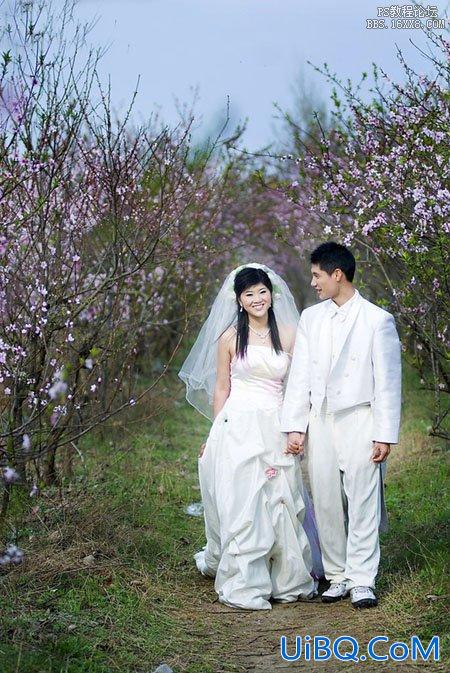 ps处理桃林婚纱照片艳丽的紫红色