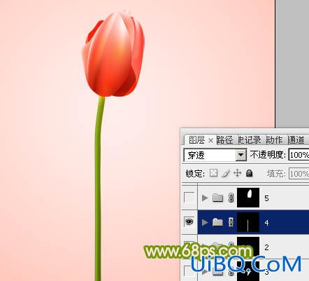 ps制作一朵含苞欲放的红色郁金香
