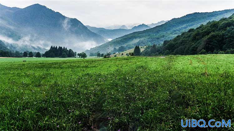 PS合成一幅花开富贵的美景，漂亮的花海风景图片。