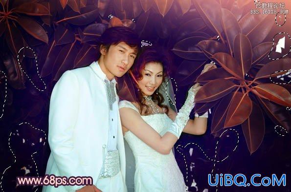 ps处理树林婚纱照片柔和的暗调紫褐色