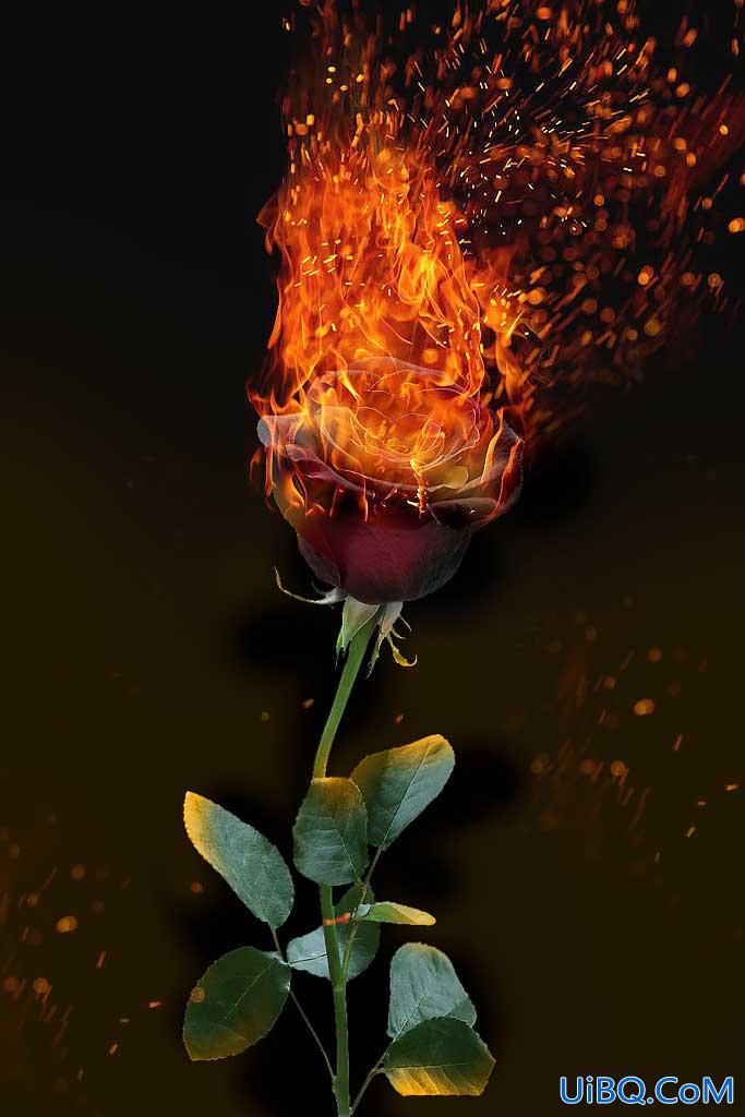 Photoshop合成教程：今天是520了我们来合成一朵漂亮的火玫瑰。