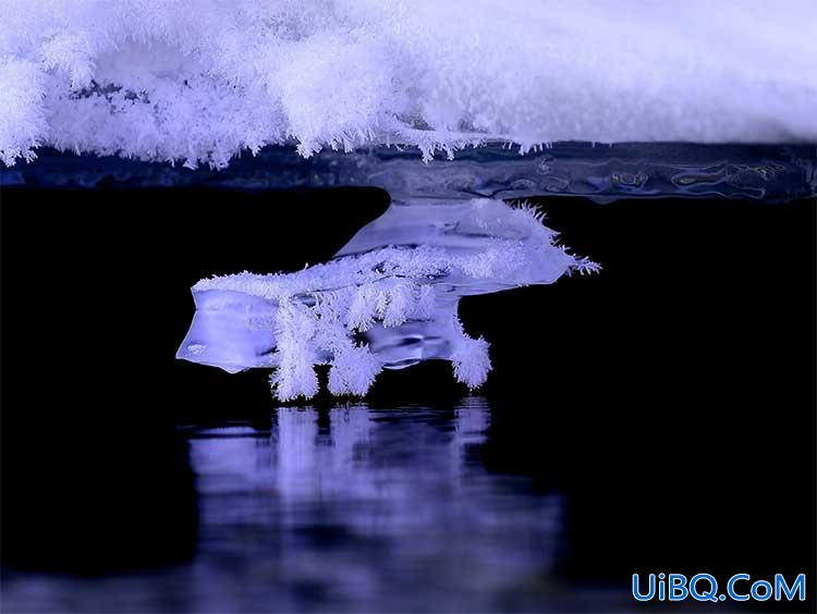Photoshop合成一条被冰封的孔雀鱼,冰冻效果的鱼,孔雀鱼被封印的效果。