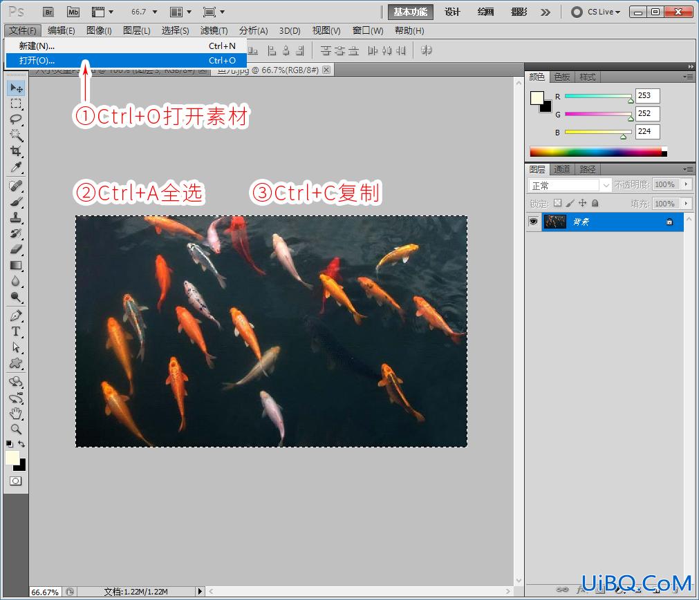 Photoshop水墨画合成教程：利用荷叶塘与鲤鱼图像结合制作出水墨画效果。