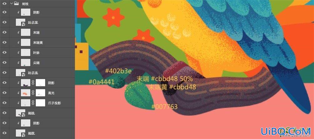 PS结合AI软件手绘复古风格的鹦鹉插画图片，虎皮鹦鹉图片