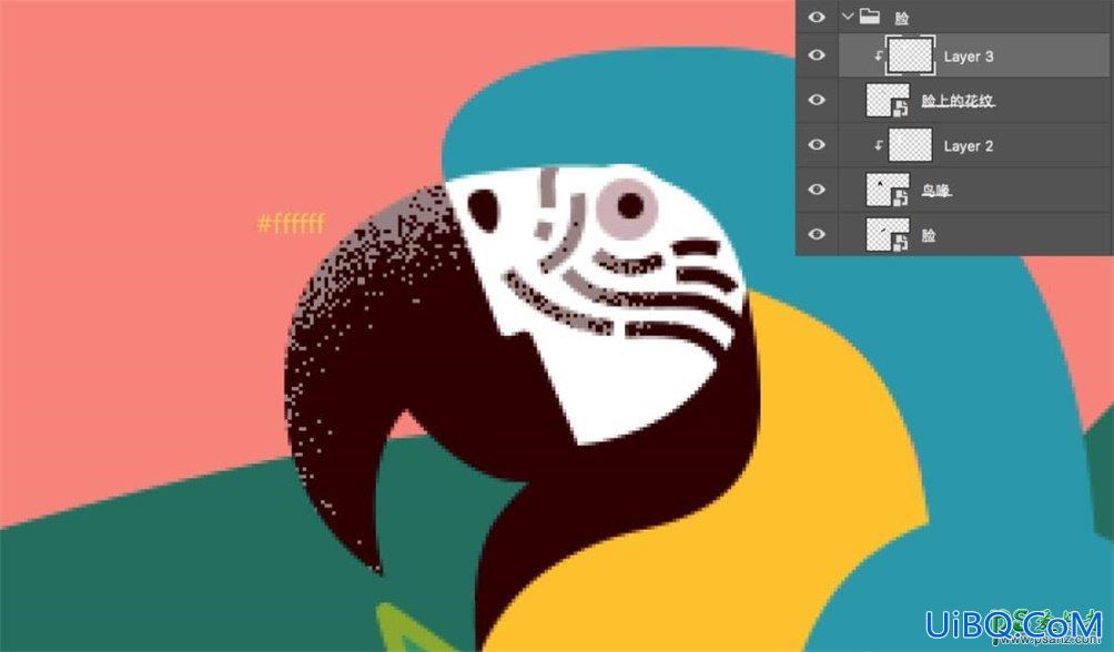 PS结合AI软件手绘复古风格的鹦鹉插画图片，虎皮鹦鹉图片