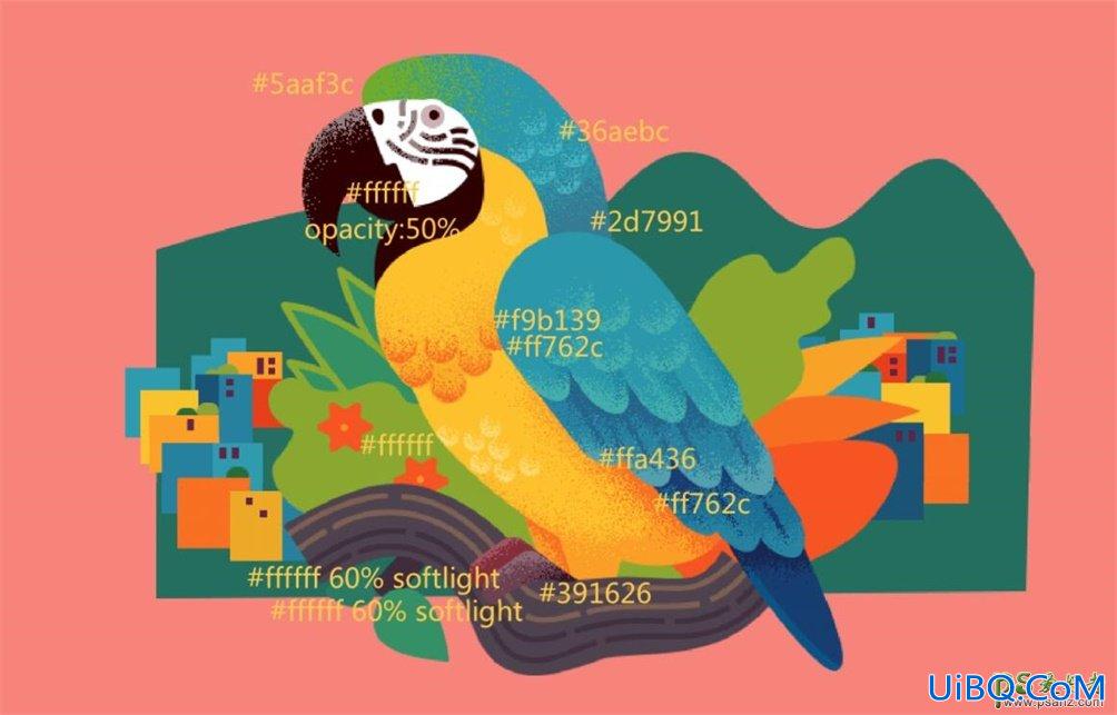 PS结合AI软件手绘复古风格的鹦鹉插画图片，虎皮鹦鹉图片