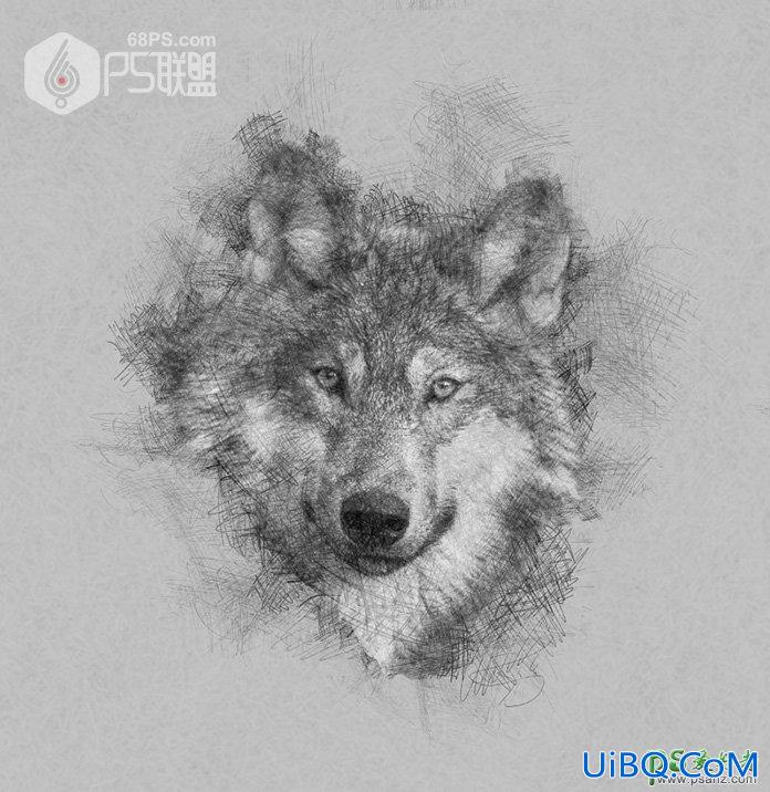 PS手工制作漂亮的铅笔画效果的狼头像，涂鸦素描野狼头像