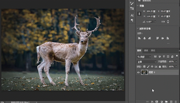 Photoshop梦幻合成实例：创意合成深山老林中发光的小鹿意境场景。