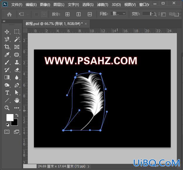 PS手工制作一个白色的羽毛素材图片，手绘羽毛失量图。