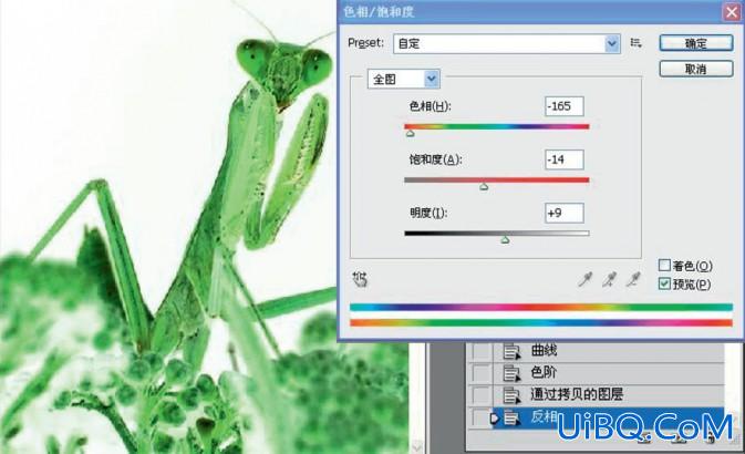 ps给摄影中的螳螂做后期修饰