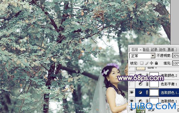 ps打造古典青褐色树林婚纱照片
