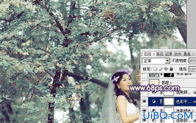ps打造古典青褐色树林婚纱照片