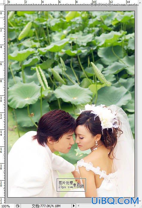 ps调出荷塘婚纱照片清新色调