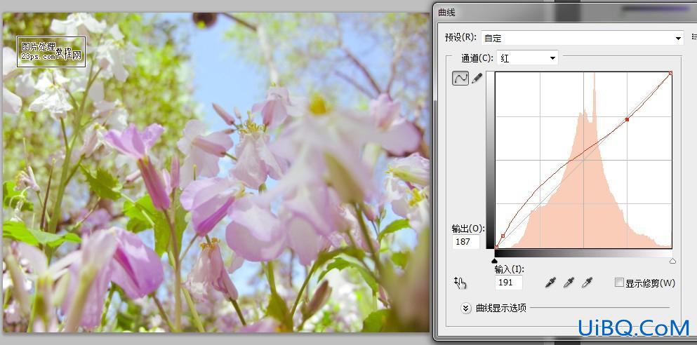 ps数码照片后期色调处理日系效